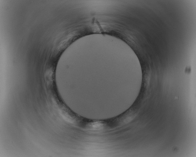 X0000112010219200909141133