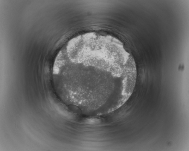 X0000112010220200909141133