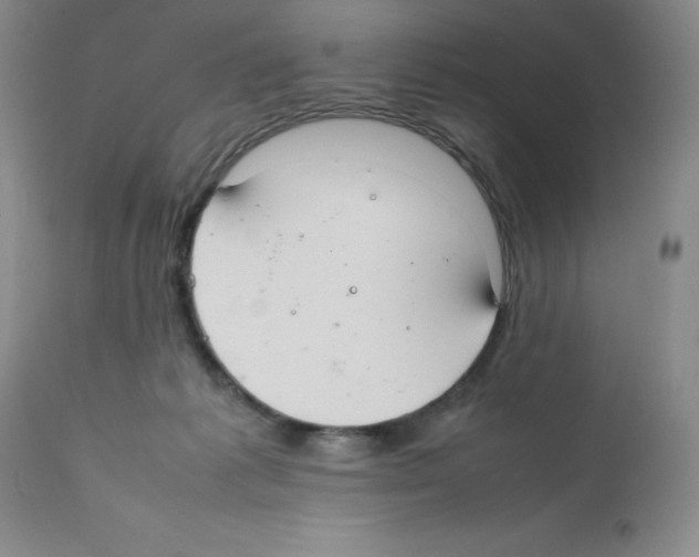 X0000112010221200909141133