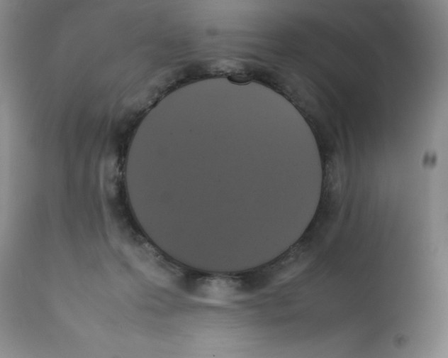 X0000112010223200909141133