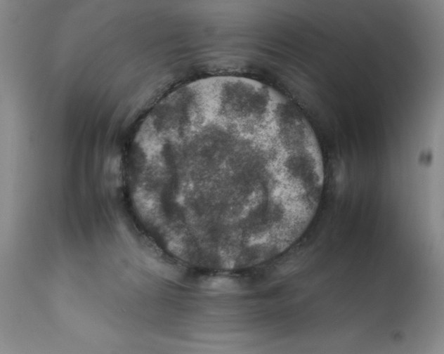 X0000112010224200909141133