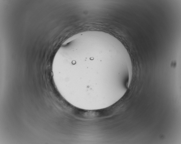 X0000112010225200909141133