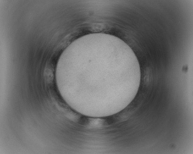X0000112010226200909141133