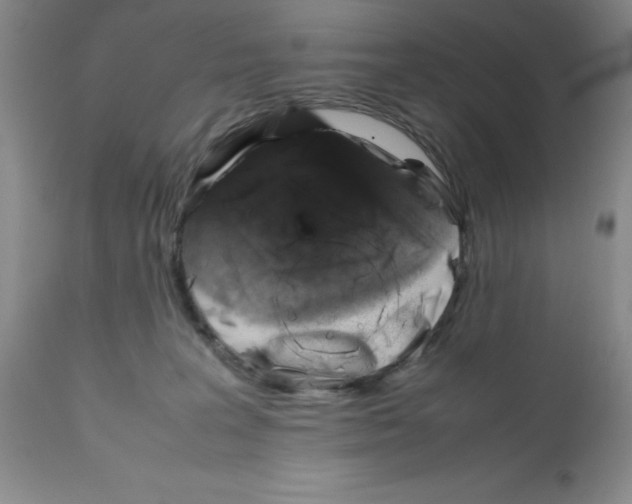 X0000112010227200909141133
