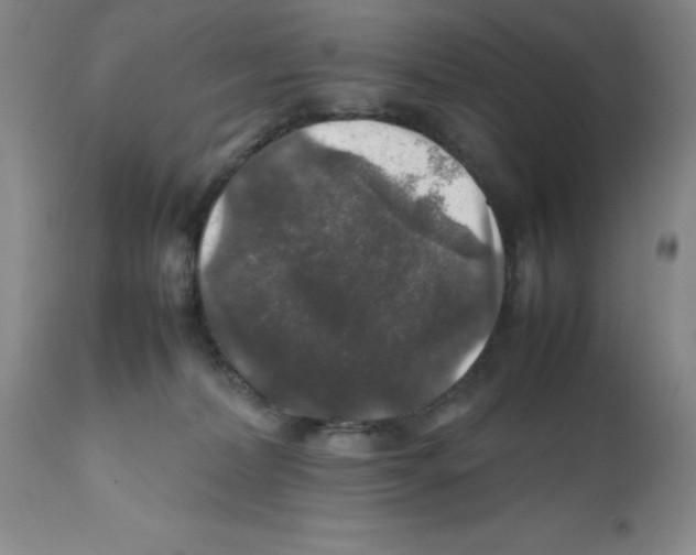 X0000112010228200909141133