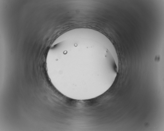 X0000112010229200909141133