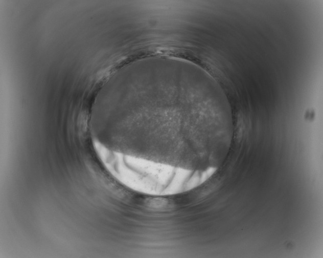 X0000112010230200909141133
