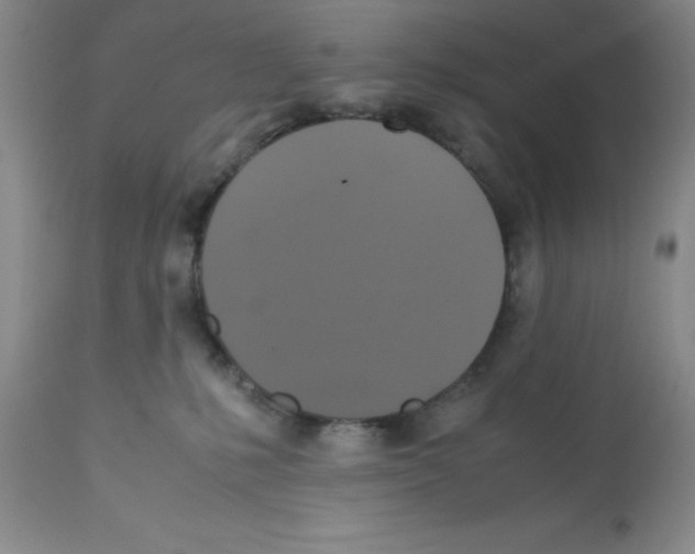 X0000112010231200909141133