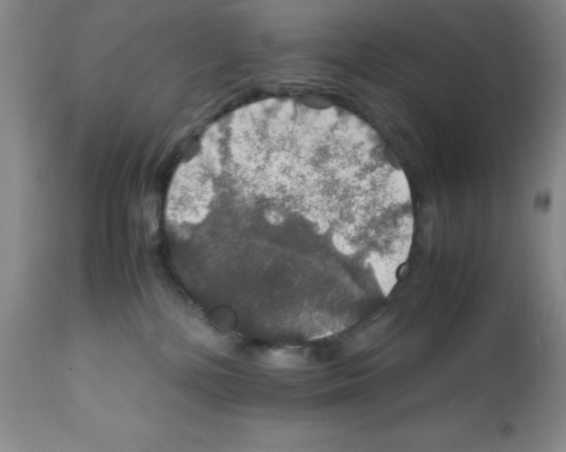 X0000112010232200909141133