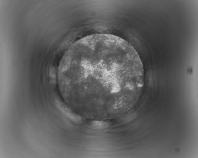 X0000112010234200909141133