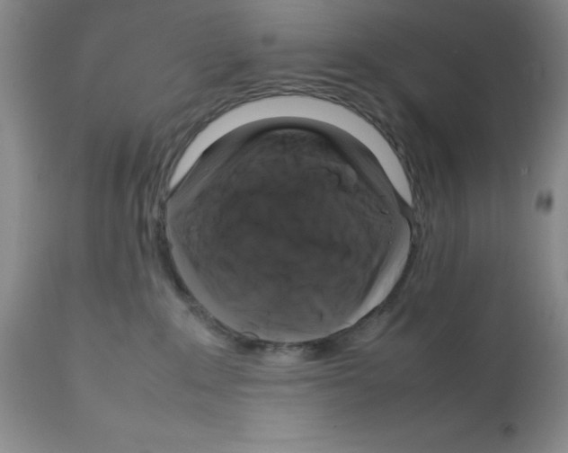X0000112010235200909141133