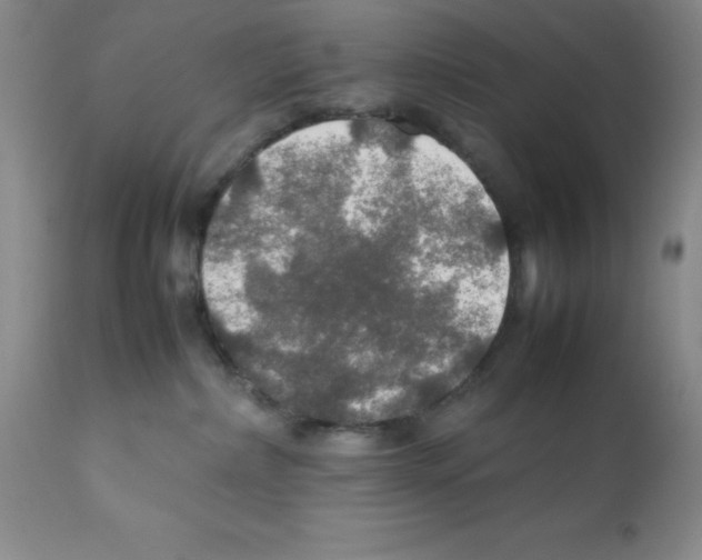 X0000112010236200909141133
