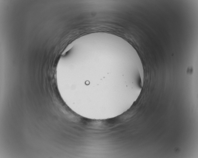 X0000112010237200909141133