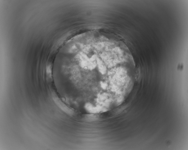 X0000112010238200909141133
