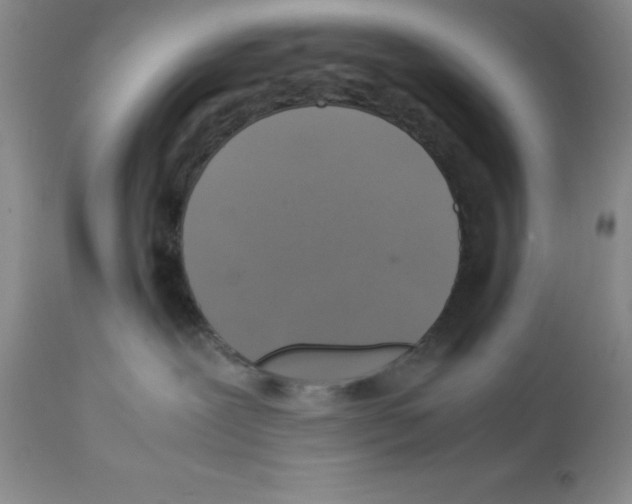 X0000112010239200909141133