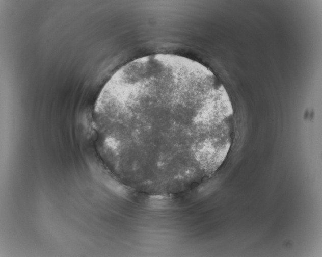 X0000112010240200909141133
