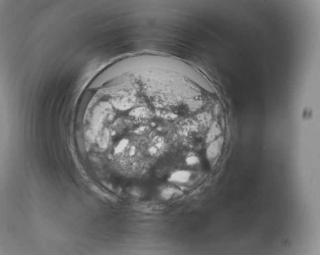 X0000112010241200909141132