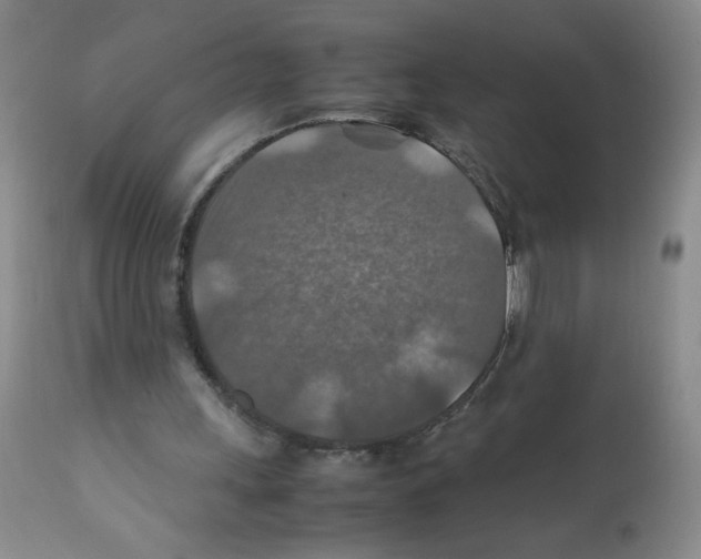 X0000112010243200909141132