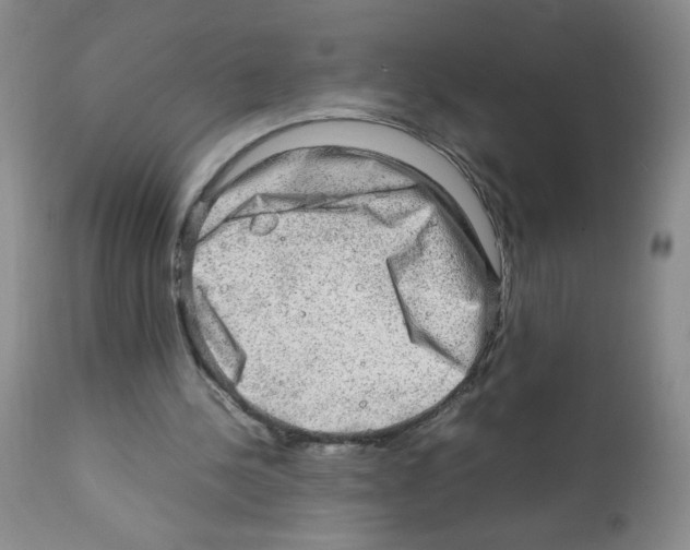 X0000112010244200909141132