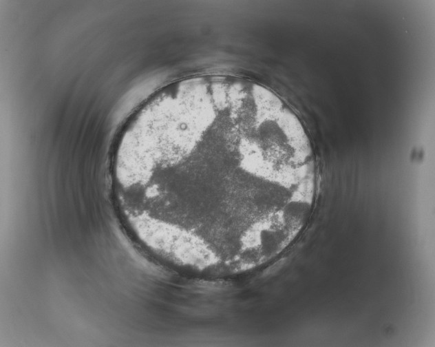 X0000112010245200909141132