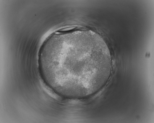 X0000112010246200909141132