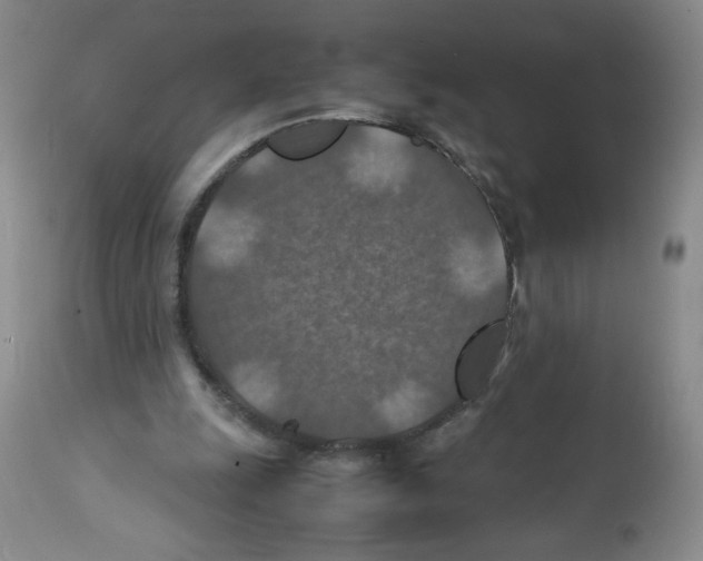 X0000112010247200909141133