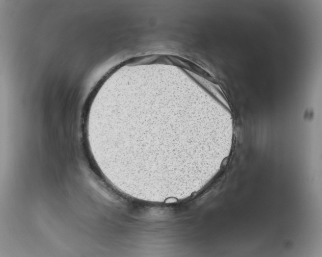 X0000112010248200909141133