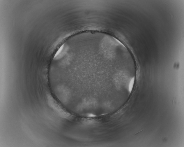X0000112010249200909141133