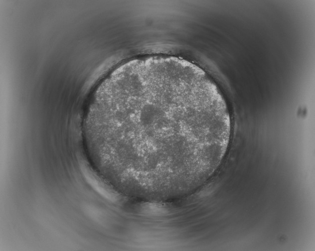 X0000112010250200909141133