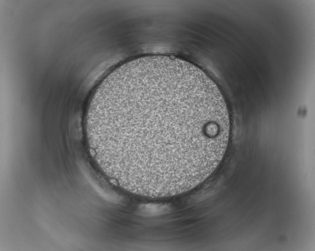 X0000112010251200909141133