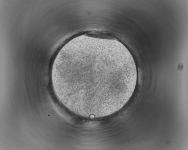 X0000112010252200909141133
