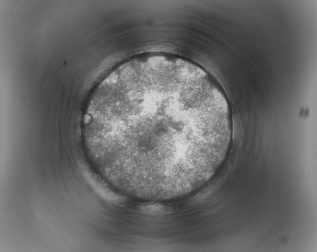 X0000112010253200909141133