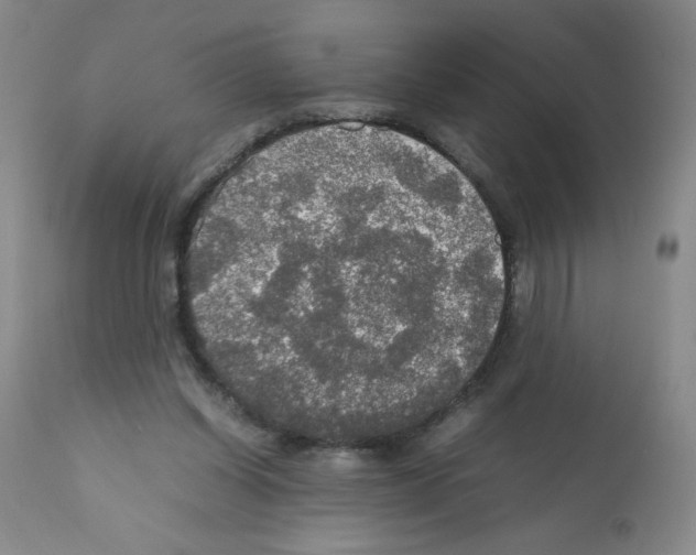 X0000112010254200909141133