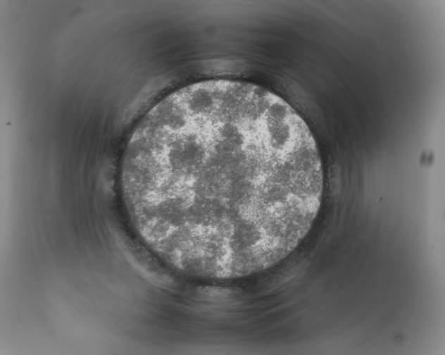 X0000112010255200909141133