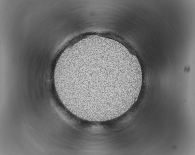 X0000112010256200909141133