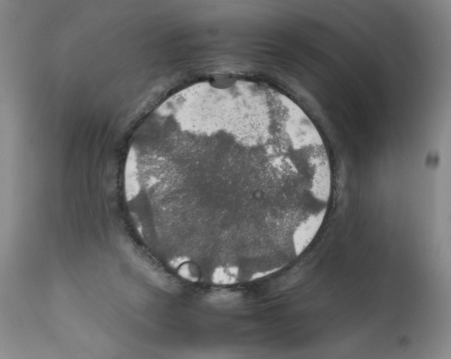 X0000112010257200909141133