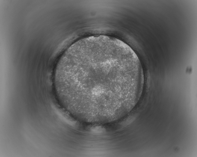 X0000112010258200909141133