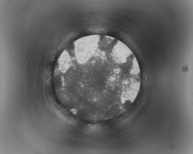 X0000112010259200909141133