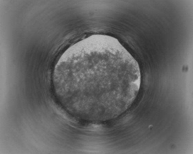 X0000112010260200909141133