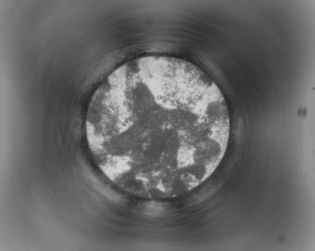 X0000112010261200909141133