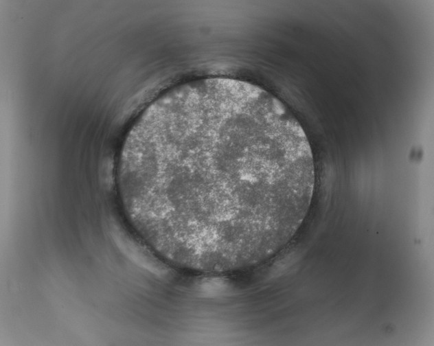X0000112010262200909141133