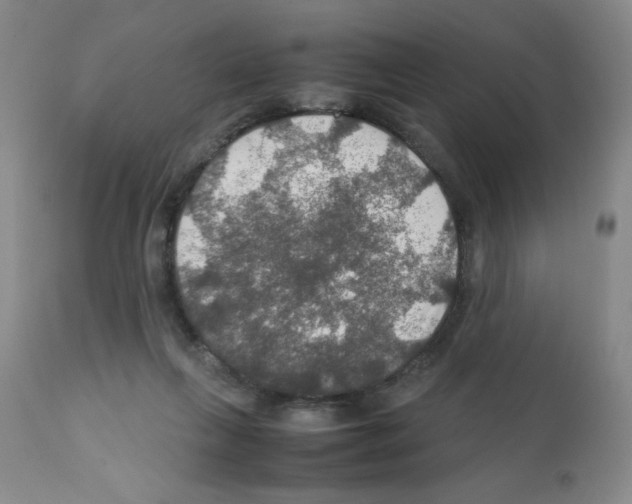 X0000112010263200909141133