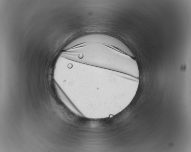 X0000112010264200909141133