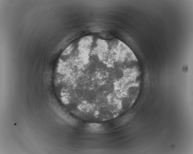 X0000112010265200909141133
