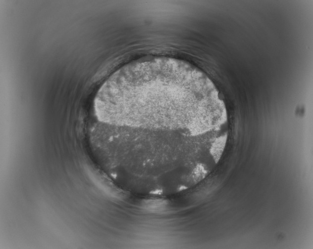 X0000112010266200909141133