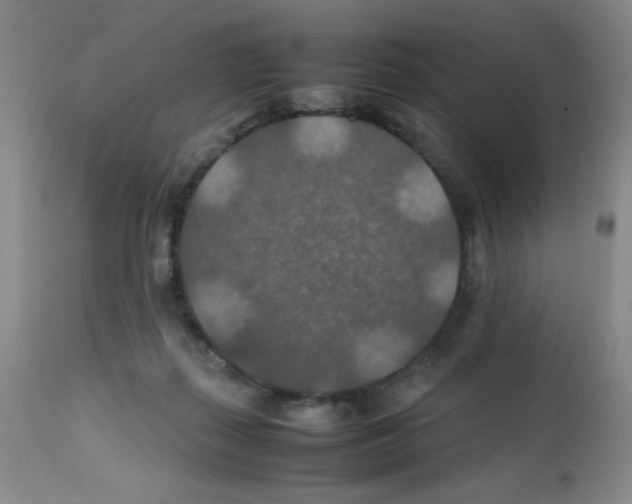 X0000112010267200909141133