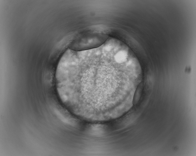 X0000112010268200909141133
