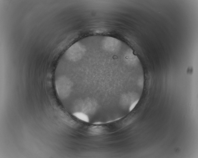 X0000112010269200909141133