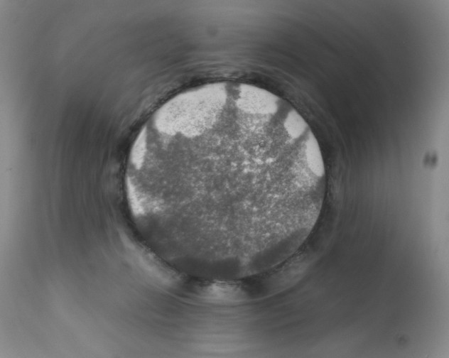 X0000112010270200909141133