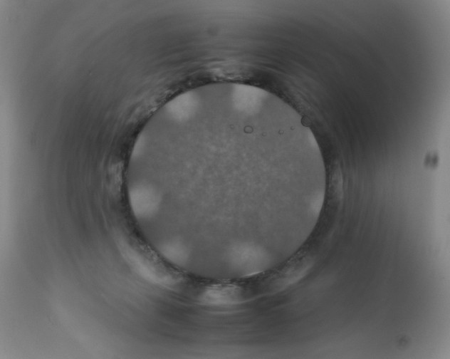 X0000112010271200909141133